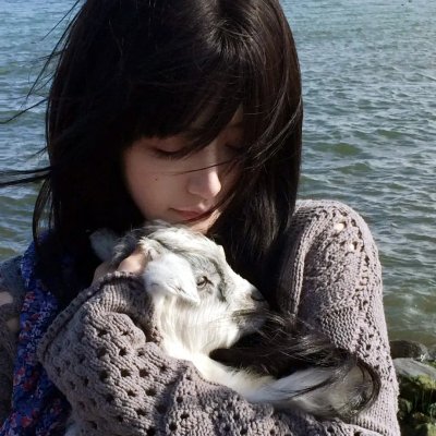 一张空白照片海报