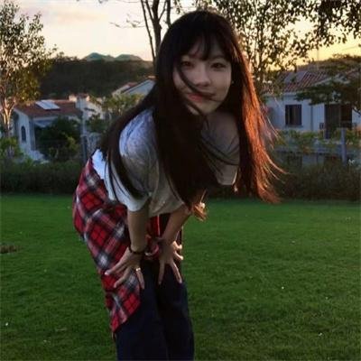 胡同猫海报